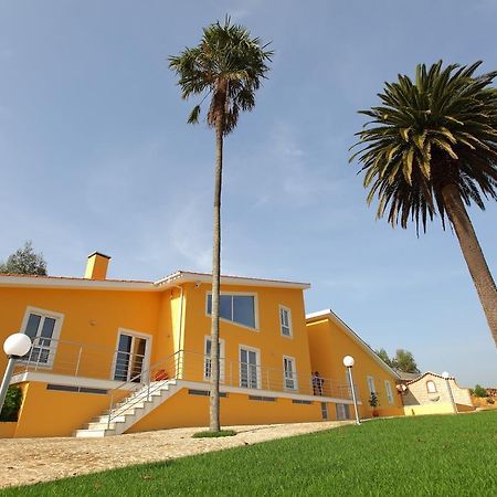 Up Quinta Dos Meireles Albergaria-a-Velha Bagian luar foto